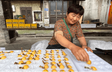 發(fā)展農(nóng)業(yè)新質(zhì)生產(chǎn)力<strong></p>
<p>農(nóng)業(yè)發(fā)展</strong>，“蘇”寫(xiě)智慧農(nóng)業(yè)新篇章:農(nóng)業(yè)發(fā)展