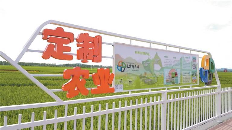 北大荒集團大力發(fā)展定制農(nóng)業(yè) 萬畝方陣打造現(xiàn)代農(nóng)業(yè)新標桿:農(nóng)業(yè)發(fā)展