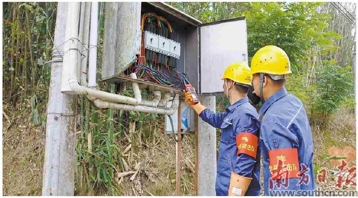 “一度電”激活云浮智慧農(nóng)業(yè)發(fā)展動能:農(nóng)業(yè)發(fā)展