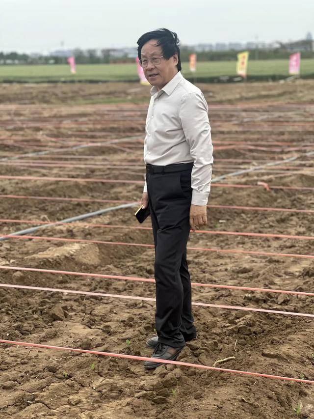 技豐麥促進(jìn)糧食豐收成色何以這么足:糧食豐收