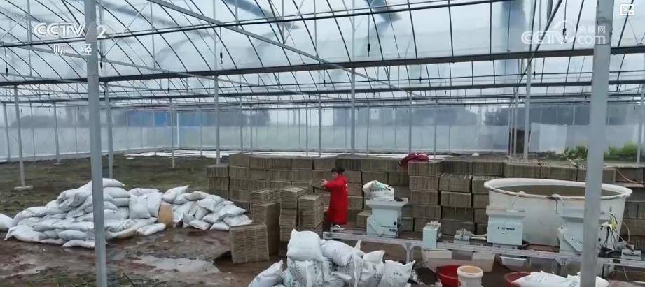 各地因地制宜搶抓春耕備耕 夯實(shí)糧食豐收基礎(chǔ):糧食豐收