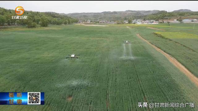三夏時(shí)節(jié)管護(hù)并重 筑牢糧食豐收基礎(chǔ):糧食豐收