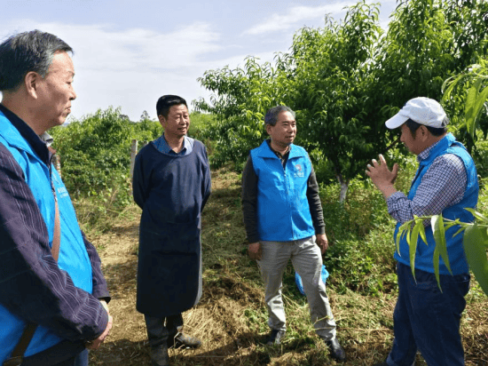 北碚民建：生態(tài)循環(huán)技術(shù)賦能現(xiàn)代農(nóng)業(yè):現(xiàn)代農(nóng)業(yè)