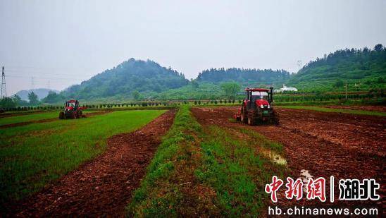 智能化、機(jī)械化助力現(xiàn)代農(nóng)業(yè)發(fā)展:現(xiàn)代農(nóng)業(yè)