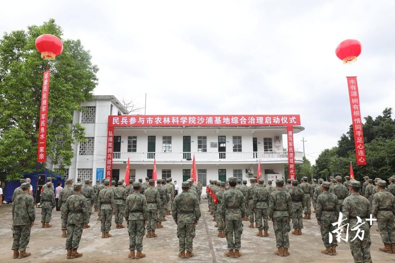 肇慶市民兵“鐵軍”出征沙浦基地，助力現(xiàn)代農(nóng)業(yè)建設(shè):現(xiàn)代農(nóng)業(yè)