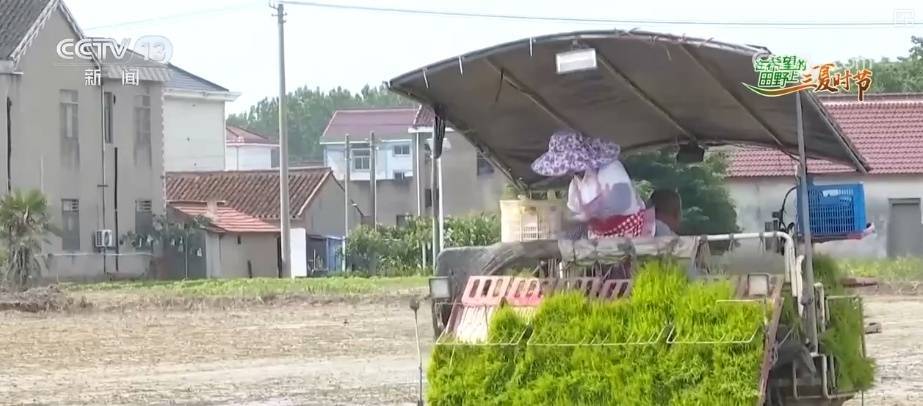 傳統(tǒng)農(nóng)業(yè)從“靠天吃飯”變“數(shù)據(jù)種田” 科技驅(qū)動“三夏”生產(chǎn)“加速跑”:農(nóng)業(yè)
