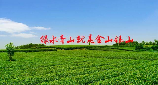 科技助力農業(yè)升級 蒲江智慧農業(yè)成績單亮眼:智慧農業(yè)

