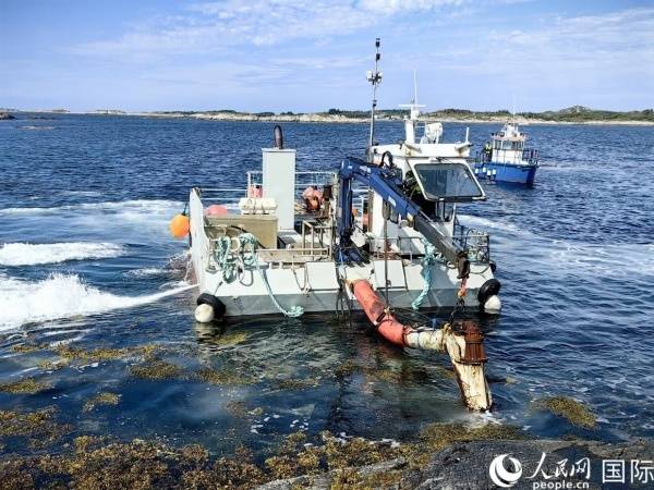生物科技助力中國農(nóng)業(yè)綠色轉(zhuǎn)型:農(nóng)業(yè)